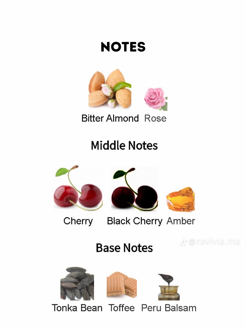 Forbidden love Maison Alhambra