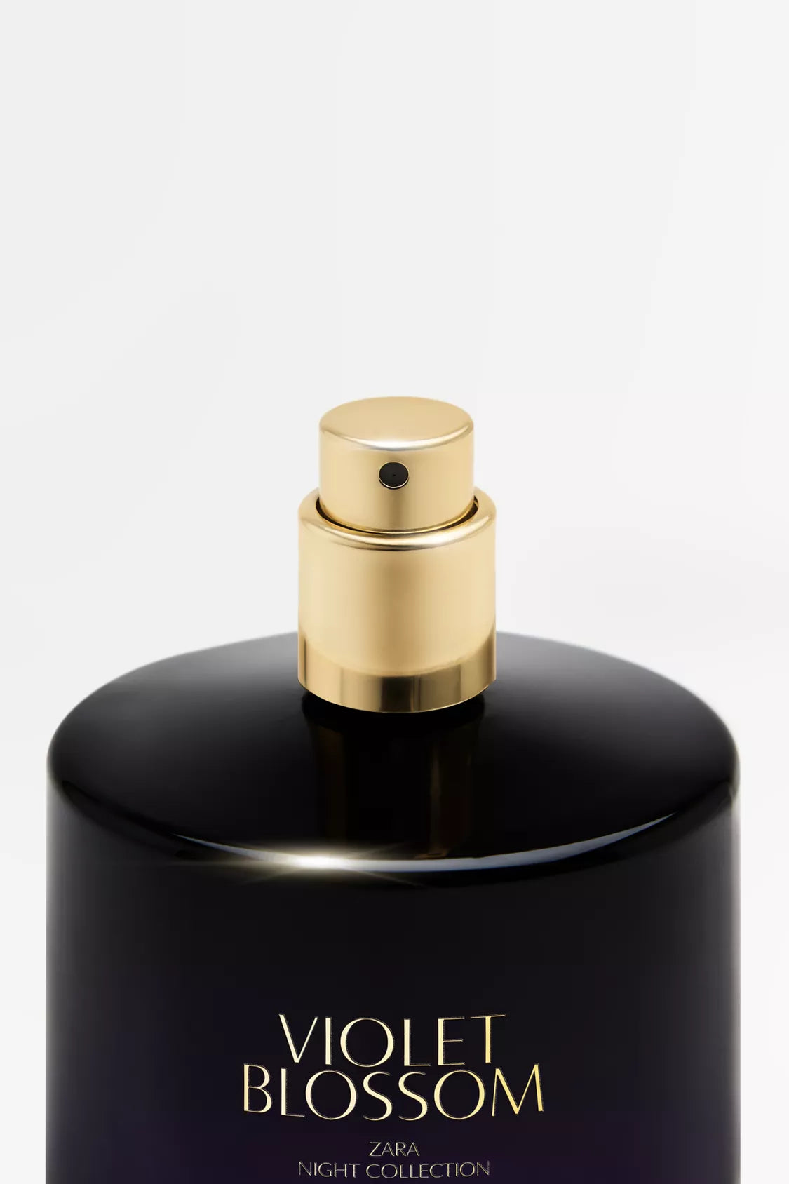 ZARA - violet blossom