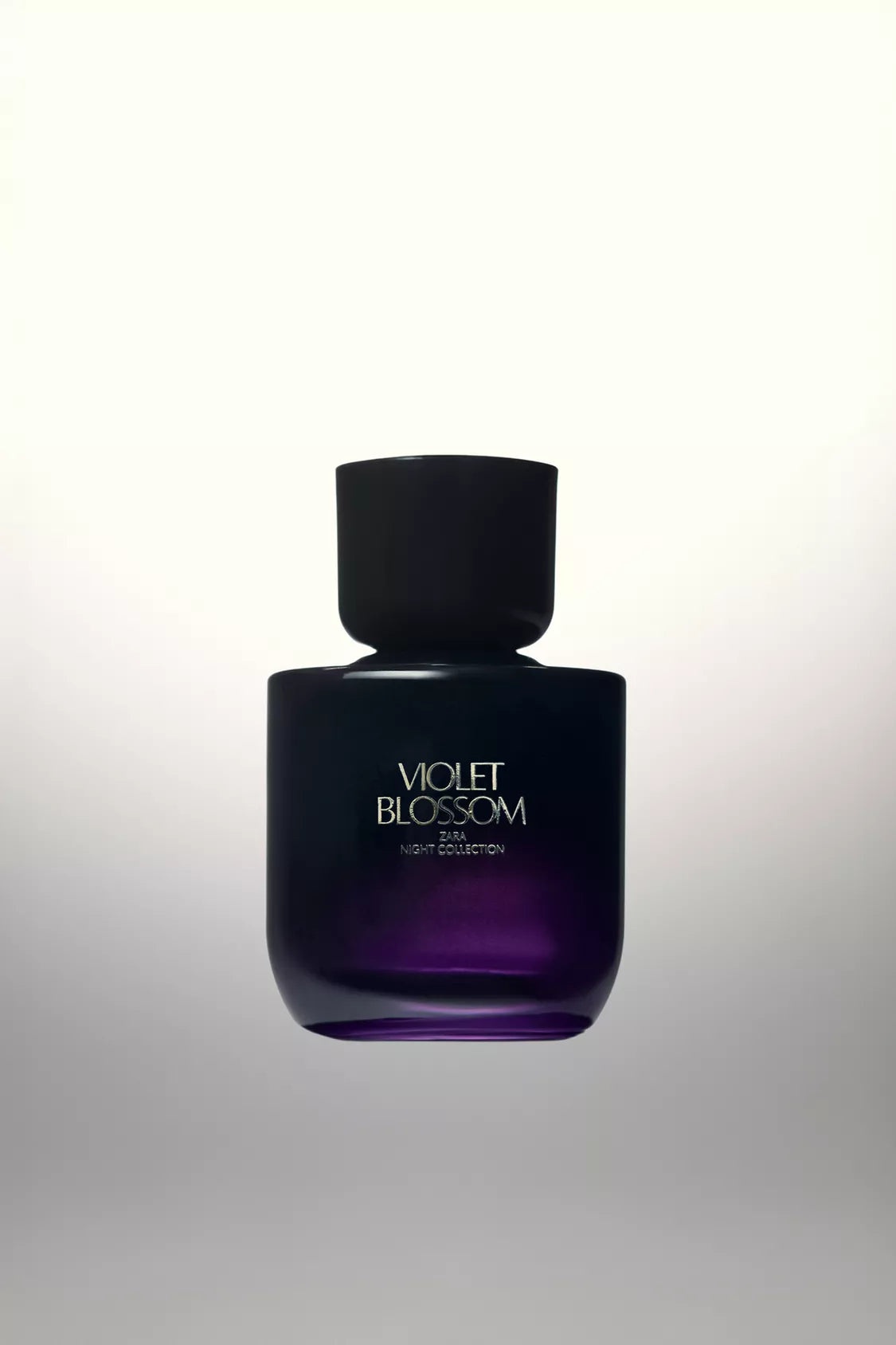 ZARA - violet blossom